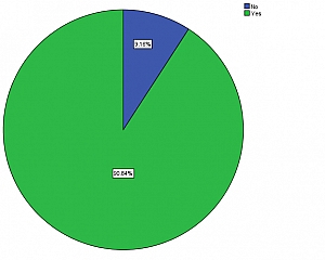 FIGURE 5: PIE CHART SHOWING IF THE ANC CLINIC HAS BEEN OF HELP TO RESPONDENTS OR NOT