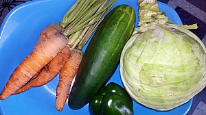 ingredients for coleslaw: cabbage, carrots, green bell pepper, cucumber and