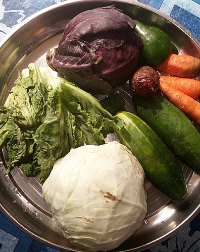 Fresh vegetables for salad recipe