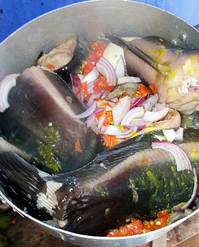 After seasoning catfish, leave it to absorb all the seasonings before cooking it