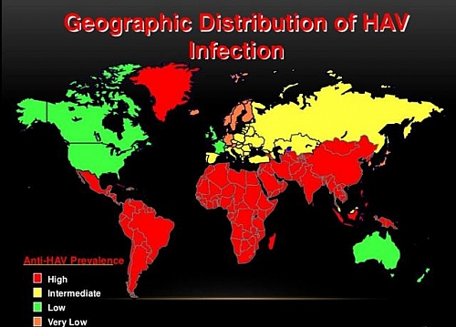 Worldwide distribution of Hepatitis A across different continents and countries