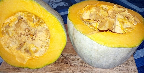 cutting of pumpkin fruit into two parts for removal of pumpkin seeds