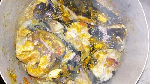 Photo of Seasoned catfish for making pepper soup Seasoned catfish for making pepper soup