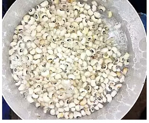 Cooking of dried white beans