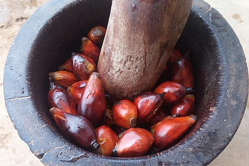 Photo of Pounding process of palm fruits for atama soup Pounding process of palm fruits for atama soup