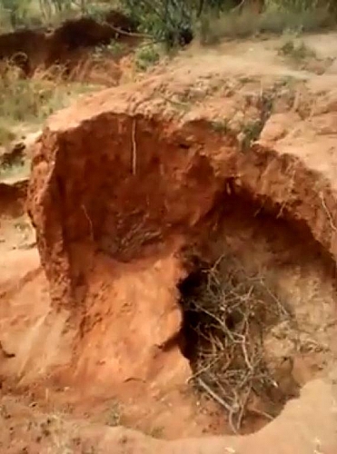 Gully erosion has and adverse effect on ecosystem