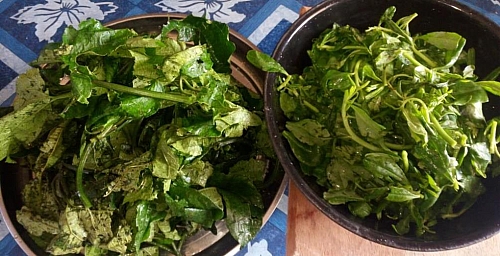 Fresh ugwu and water leaves for the preparation of edikaikong soup