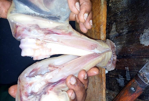 Cutting process of cow foot