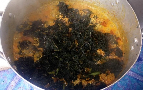 Bitter leaf is being added to the soup