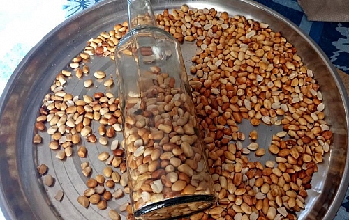 The best way to preserve fried or roasted peanuts/groundnut is to store them in an air tight bottle
