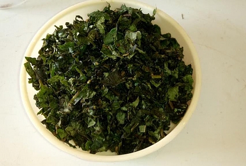 Fresh scent leaves,(Basil, Nchaunwu) for making yam pepper soup