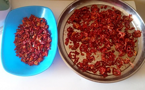 Sun dried tomatoes: both the peppers and tomatoes will shrink in and become small after drying which is a good sign that all the moisture has escaped from them