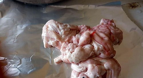 Wrapping of goat brain with foil paper
