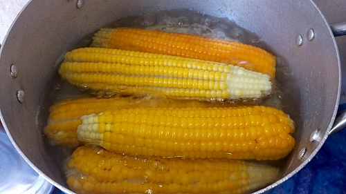 Boiling of corn on the cob