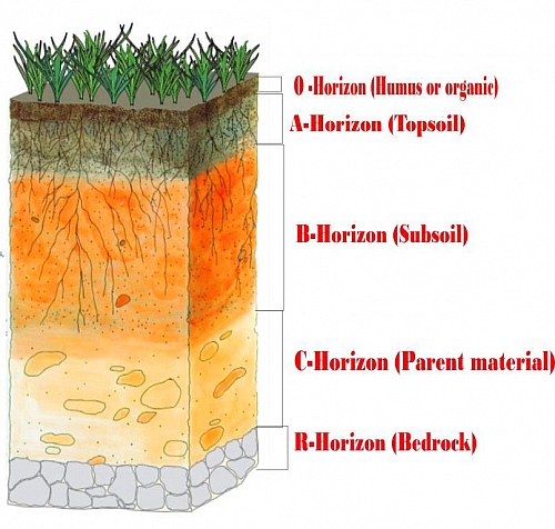 Soil profile diagram with descriptions