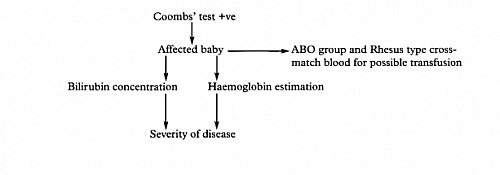 How to investigate a newborn with direct Coombs test positive result