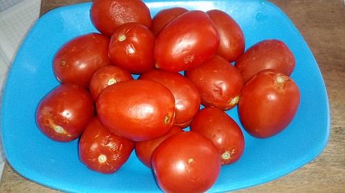 Fresh tomatoes for making tomato paste