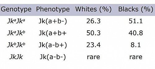 Kidd Blood Group Frequency