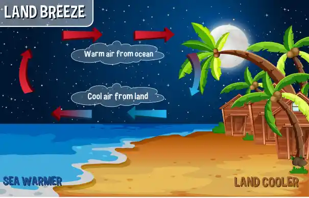 Land breeze Explained with the help of a diagram