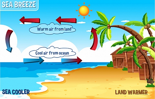 Sea breeze Explained with the help of a diagram