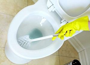 Photo of Simple Way To Produce Natural Toilet Wash