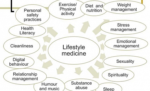 Photo of Tips for Healthy lifestyle changes (modification) and Wellness plans