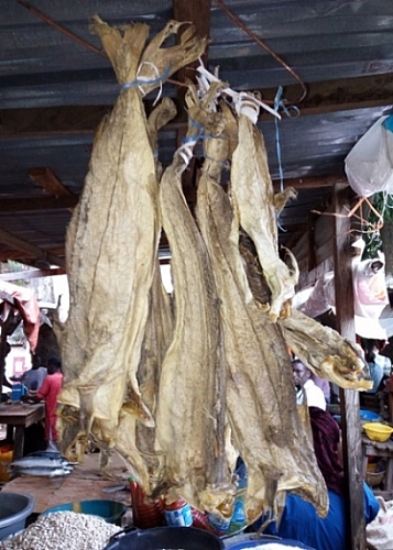 Photo of Cod (stockfish or okporoko) recipes, uses and health benefits