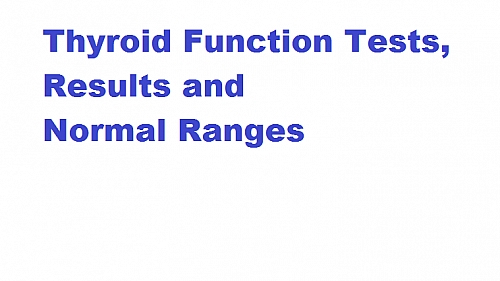 Photo of Thyroid Profile (Thyroid Function Tests): T3, T4 and TSH Results Interpretation and Normal ranges