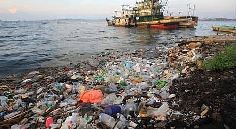 Photo of Pollution: Definition, Types of Pollution, Causes, Effects and Solutions