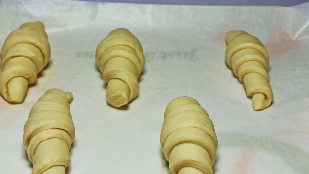 Croissant dough rolled on a parchment paper