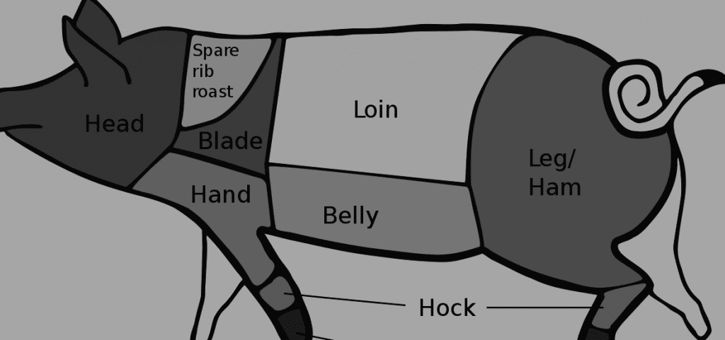 Diagram of a Pig showing the different cuts, parts, and segments with the loins used for cutting pork chop