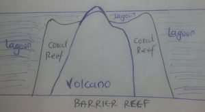 Barrier reef type