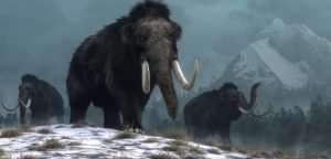 One of the extinct animals is the woolly mammoth