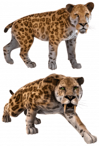 Animals that are Extinct - List of extinct animals with pictures 2 Sabre-toothed cat is one of the extint animals