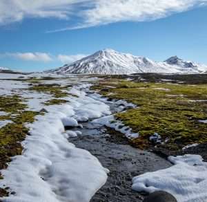 Tundra biome showing permafrost and semi-frozen landscape