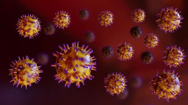 How Do Viruses Reproduce in Microbiology? Viral Replication Steps and Stages