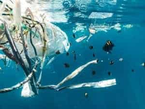 Plastic pollution in a marine habitat 