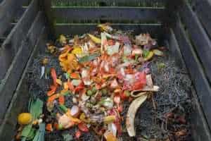 Composting Bin